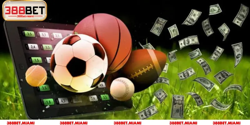 Phản hồi kịp thời – hỗ trợ khách hàng không giới hạn